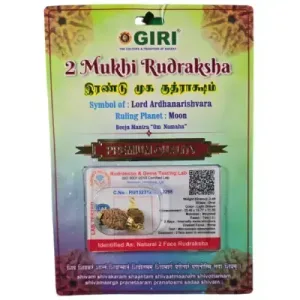 Rudraksha Beads 2 Face South-Golden Cup