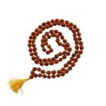 Rudraksha Khanta Mala 5 Face Velvet 54 Beads