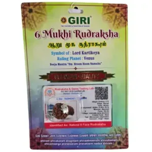 Rudraksha Pendant 6 Face Nepali – White Cup